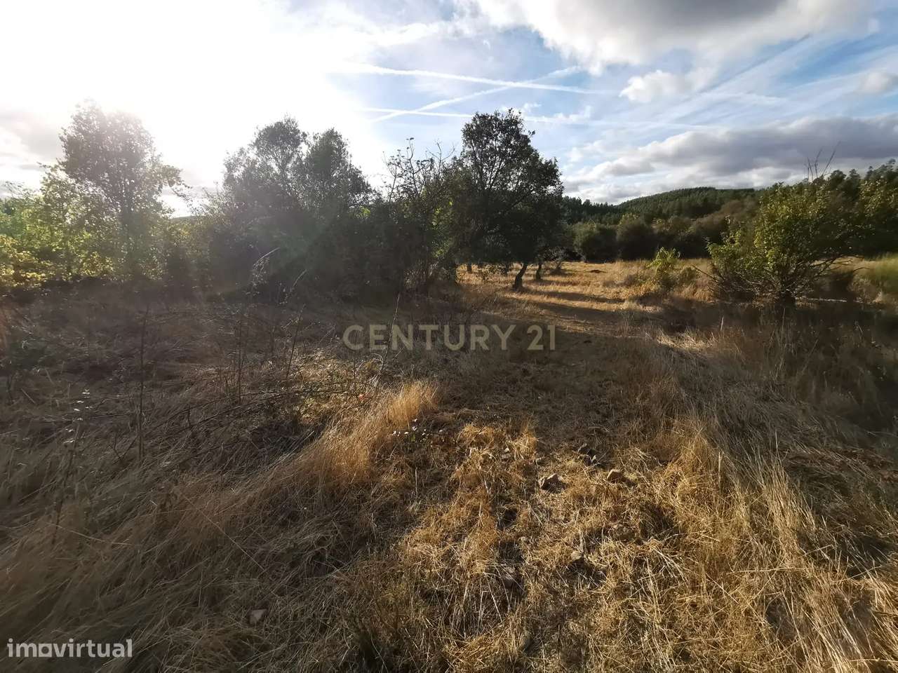 Terreno Rústico em Freixial e Juncal do Campo, Castelo Branco - Grande imagem: 2/8