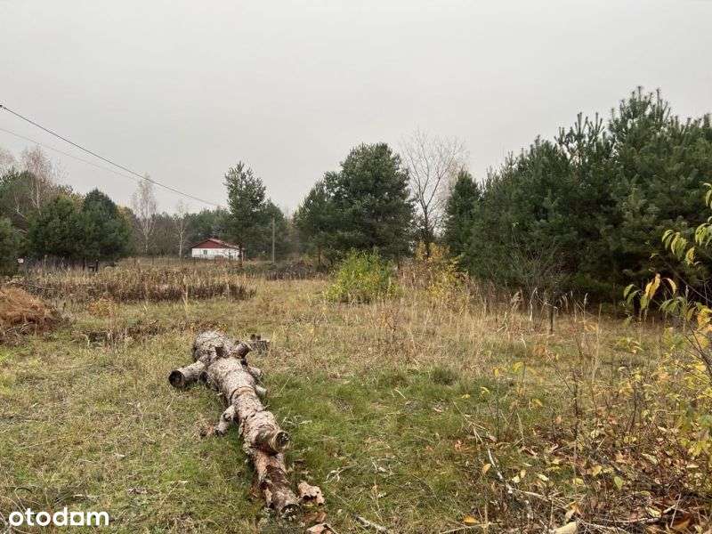 Rekreacyjna działka nad jeziorami Sumino i Białe - Pełny obrazek: 3/8