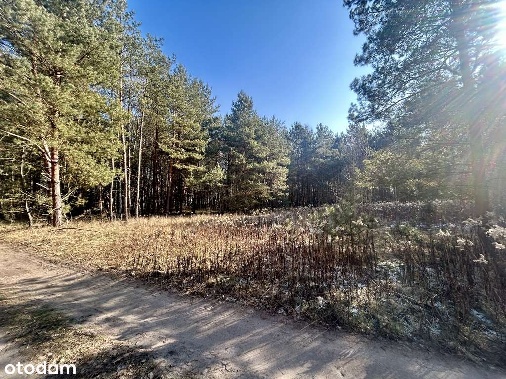 Zamieszkaj w rytmie natury – działka marzeń-6