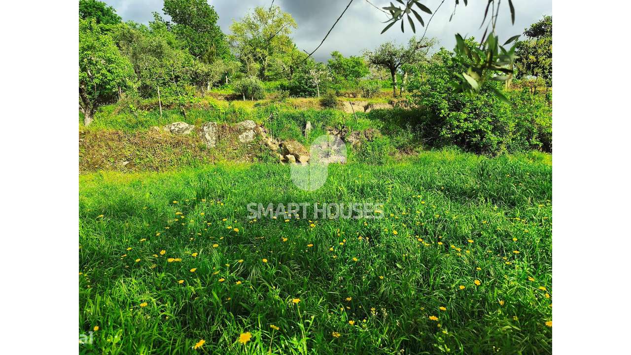 Quintinha em Vila do Mato-19