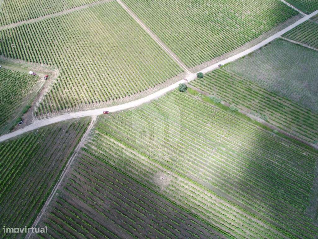 Terreno urbano à venda em São Lourenço do Barro, concelho de Anadia...-10
