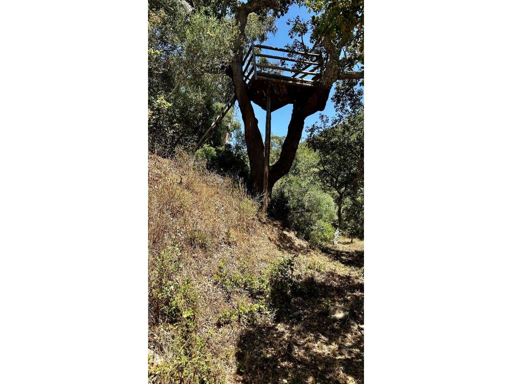 CASAS de CAMPO (3 Prédios)-36