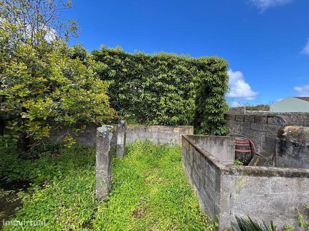 Excelente Oportunidade: Terreno com Adega para Habitação no Centro da-10