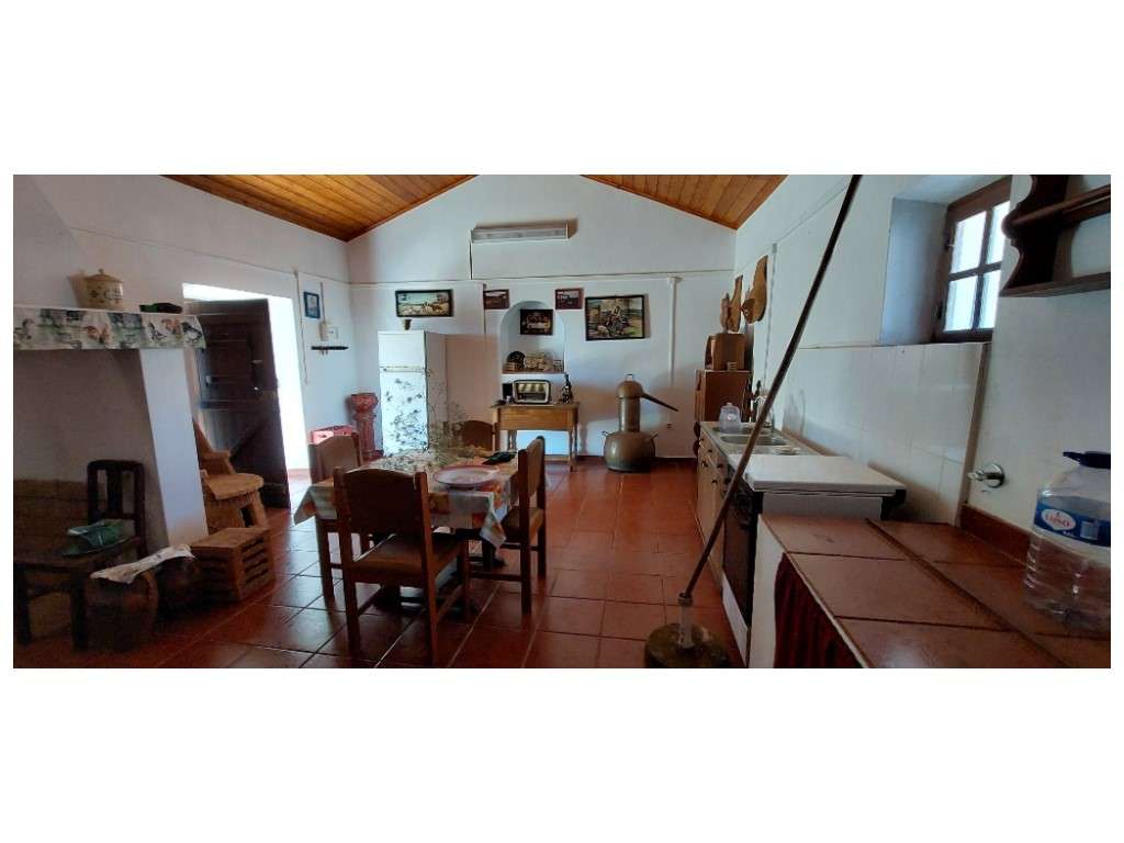 HERDADE 92 ha l Colos-13