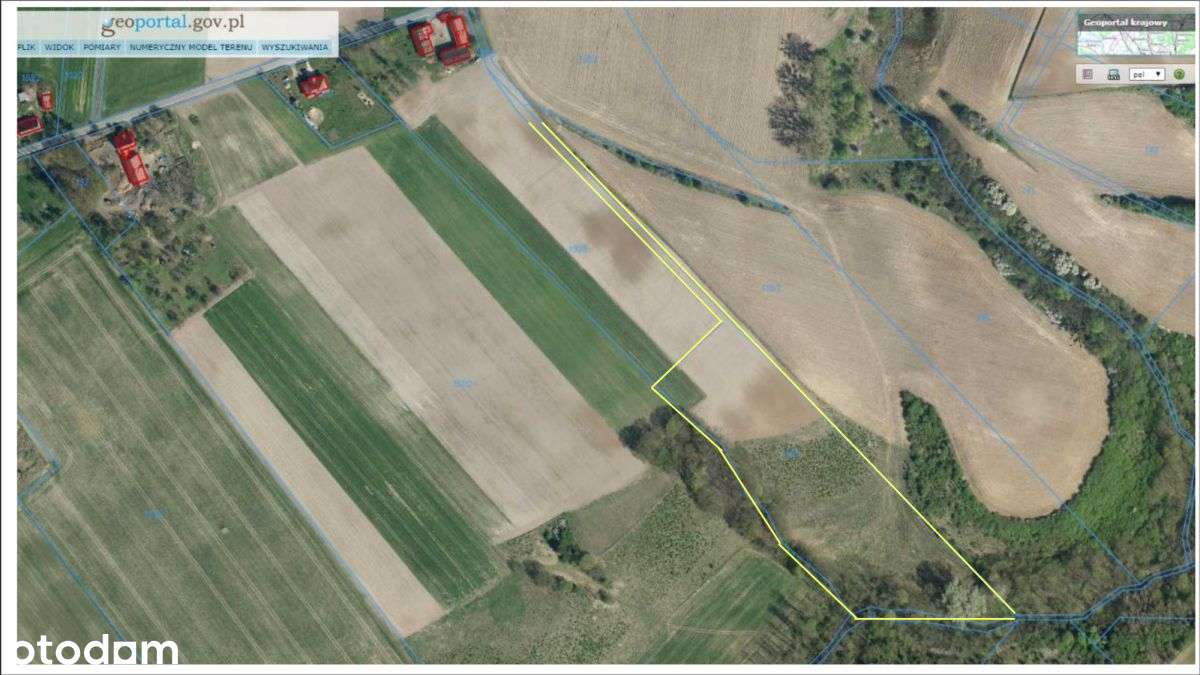 Bardzo atrakcyjna działka 2,2 ha z decyzją WZ - Pełny obrazek: 4/15