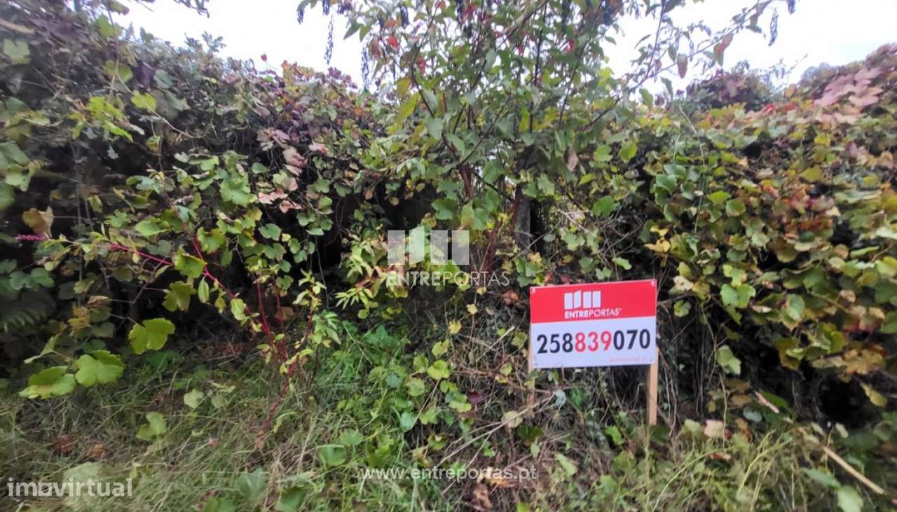 Venda de terreno agrícola, Deocriste, Viana do Castelo - Grande imagem: 2/28