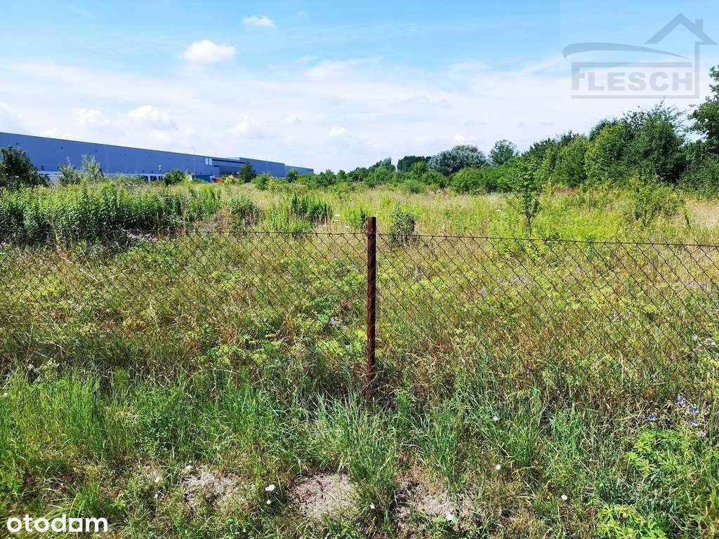 Działka budowlana Rusiec 1000m2 - Pełny obrazek: 4/7