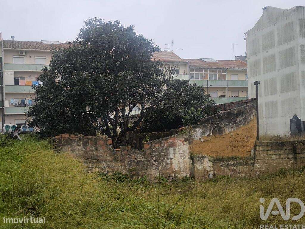 Casa / Villa T1 em Seixal, Arrentela e Aldeia de Paio Pires - Grande imagem: 3/6