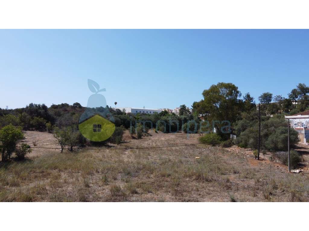 Terreno urbano e agrícola para projeto de moradias ou apartamentos ... - Grande imagem: 5/11