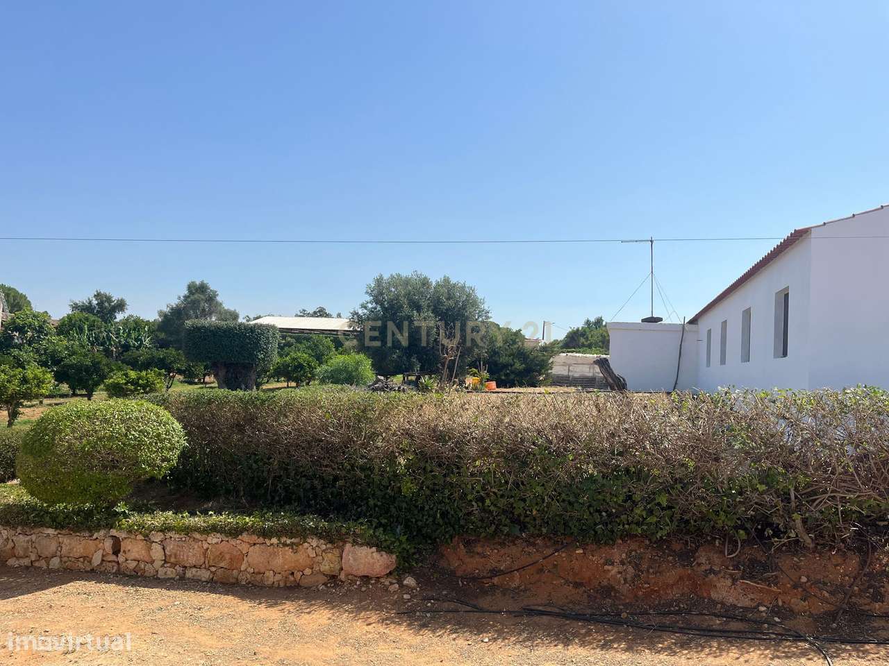 Quinta com 208.790m2, em  Plena produção de Citrinos, e estufas, com e - Grande imagem: 2/22