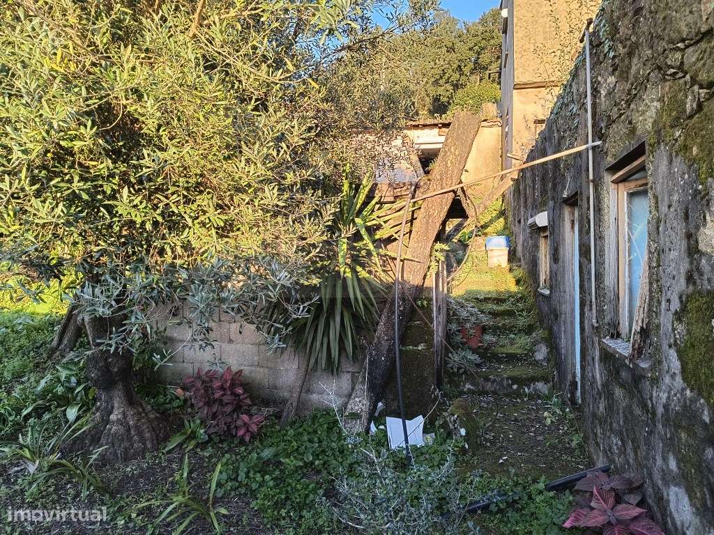 Terreno com casa para restaurar-13