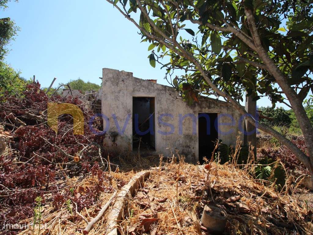 Casa com Projeto Aprovado para Moradia T3 com Piscina | Poço Barret...-34