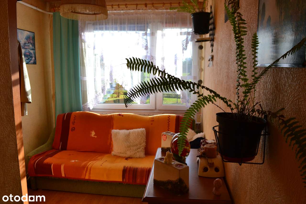 Dom w zabudowie bliźniaczej Wierzowice Wielkie powiat  górowski-10