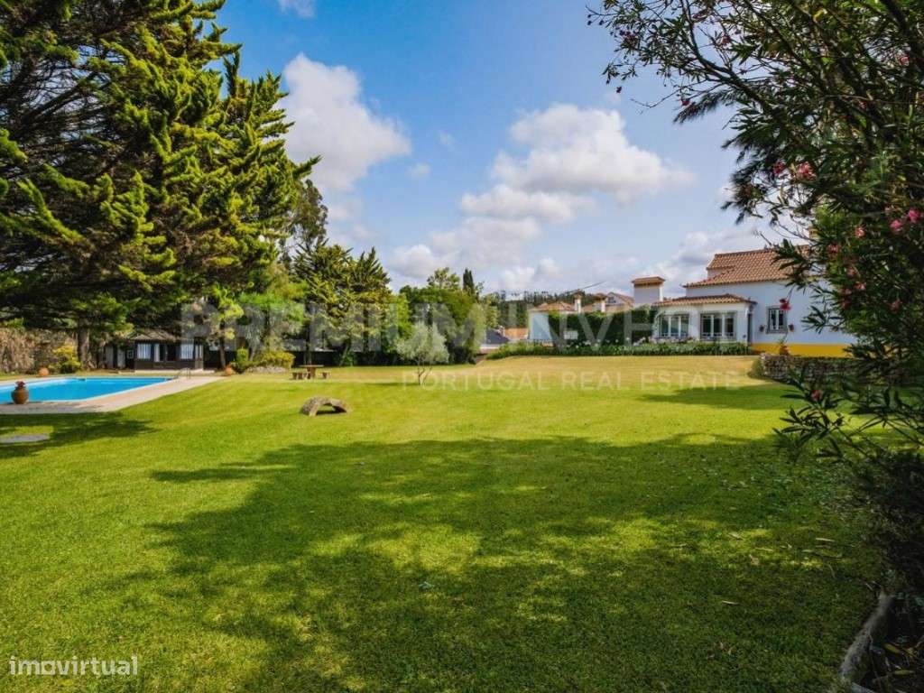 Passaporte Dourado para o paraíso em plena Costa de Prata - Grande imagem: 2/50