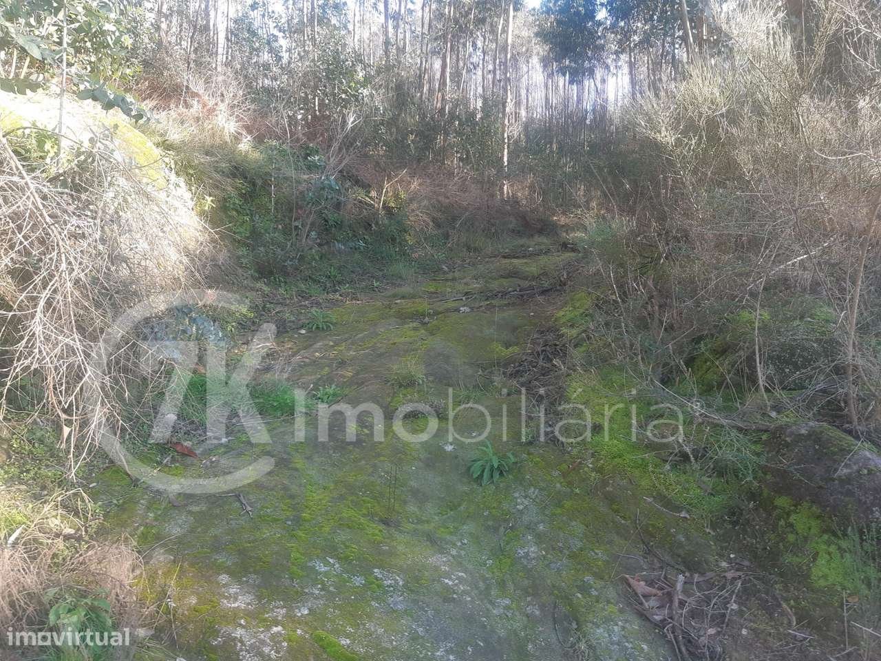 Terreno em Penhalonga-7