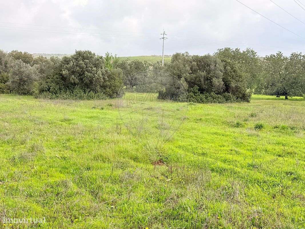 Terreno  para venda - Grande imagem: 3/8