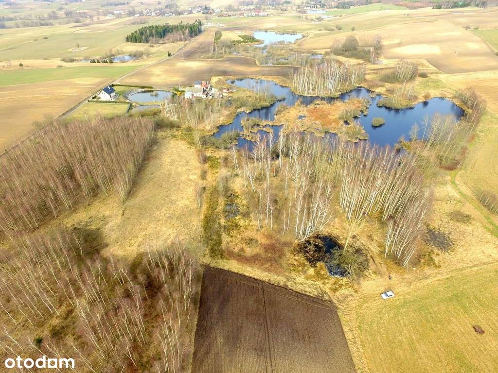 Działka w urokliwym miejscu - Pełny obrazek: 5/7