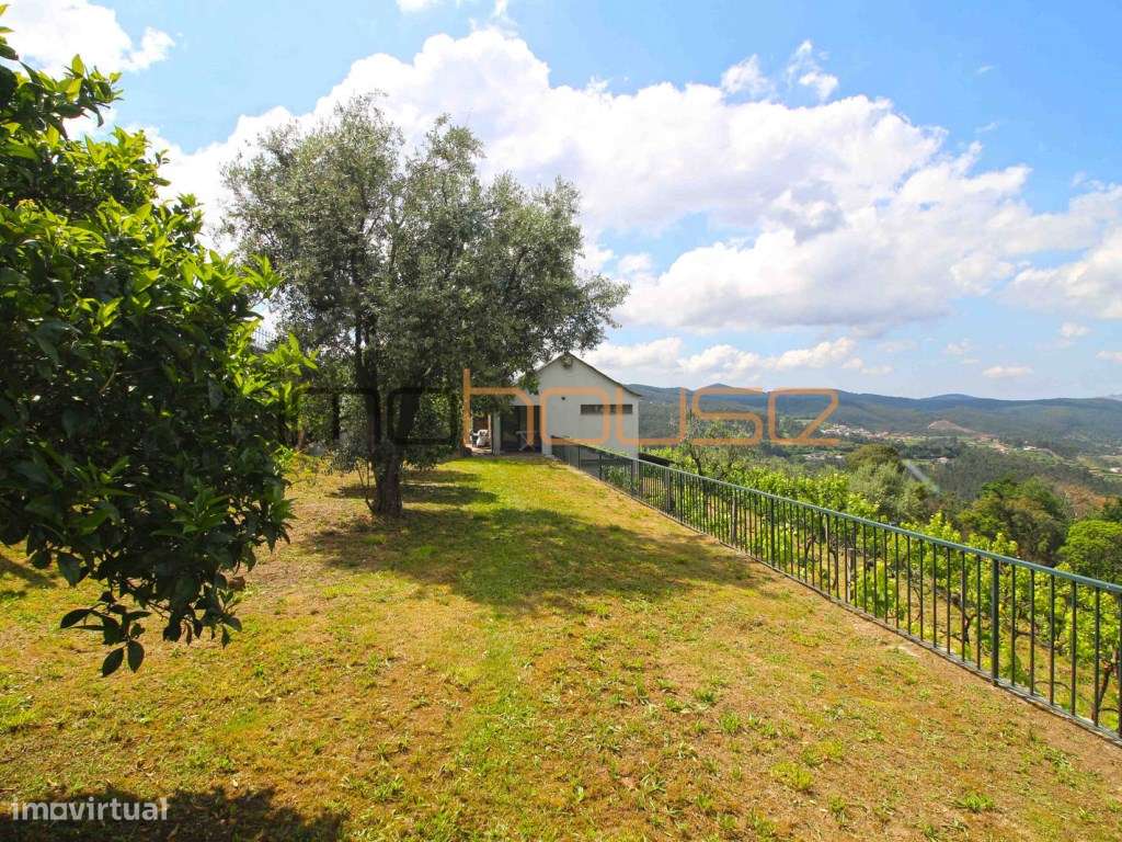 Quinta agrícola - 45 minutos do Porto-33
