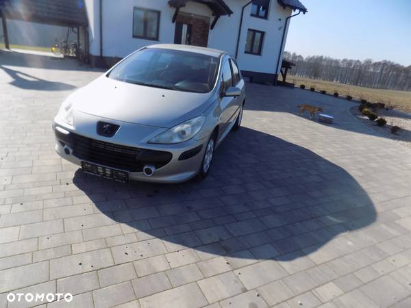 Peugeot 307 1.6 Trendy - 2