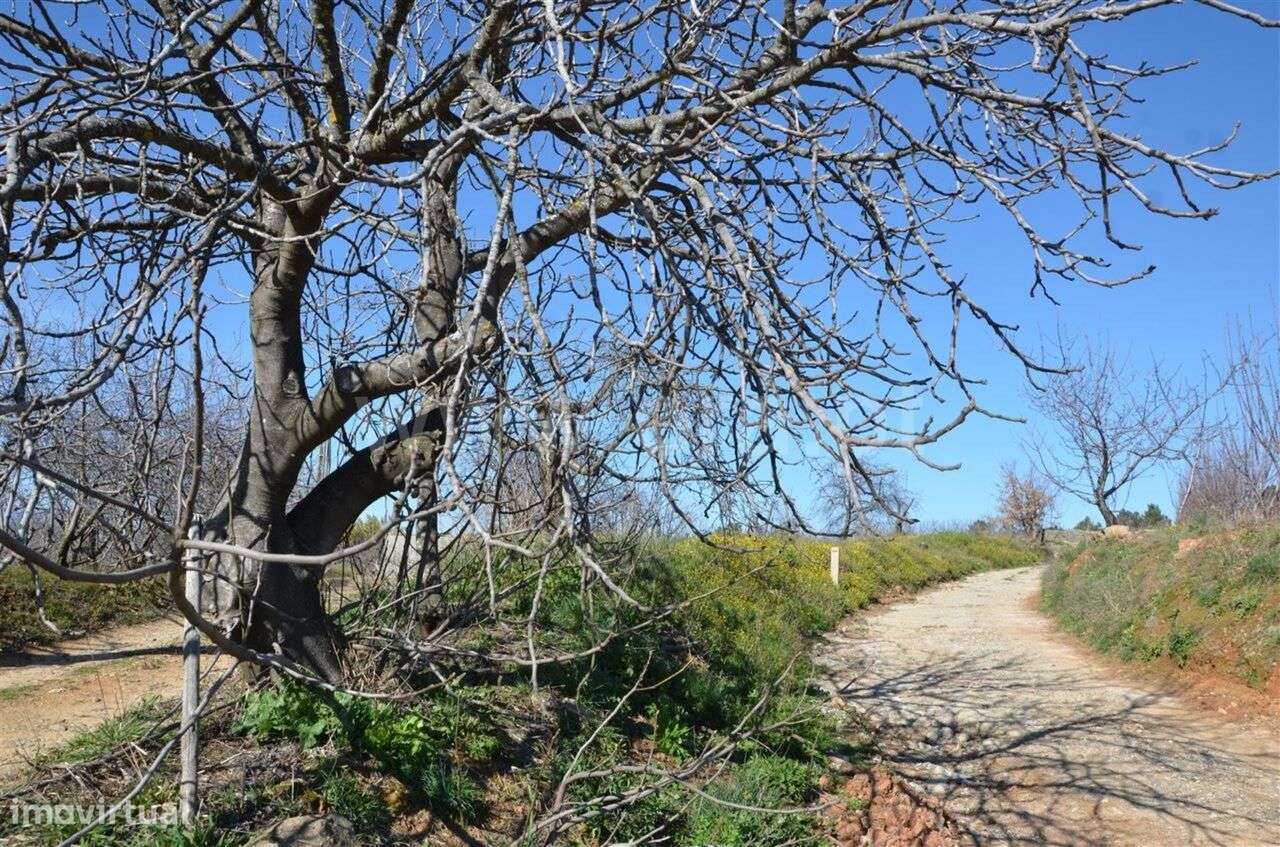 Quinta / Fundão, Aldeia de Joanes - Grande imagem: 5/12