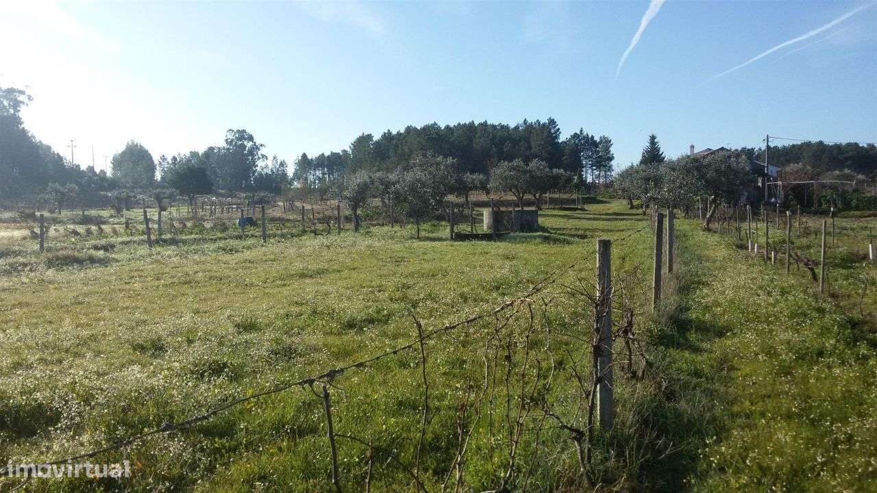 Terreno - Grande imagem: 2/5