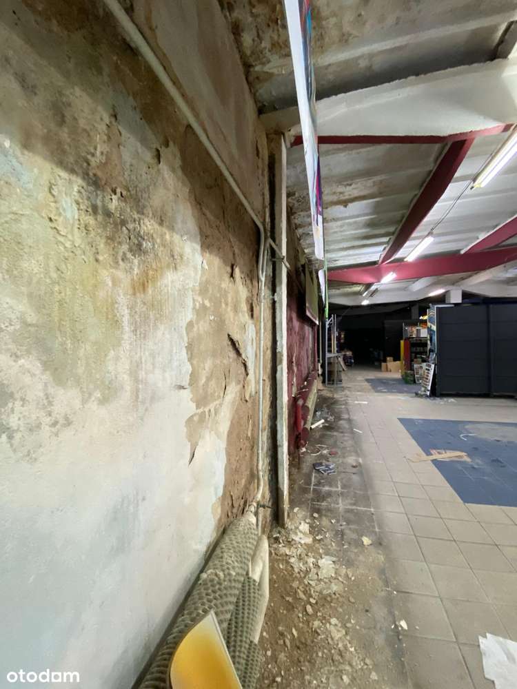 Hala/Magazyn, 5 612 m², Piła - Pełny obrazek: 5/20