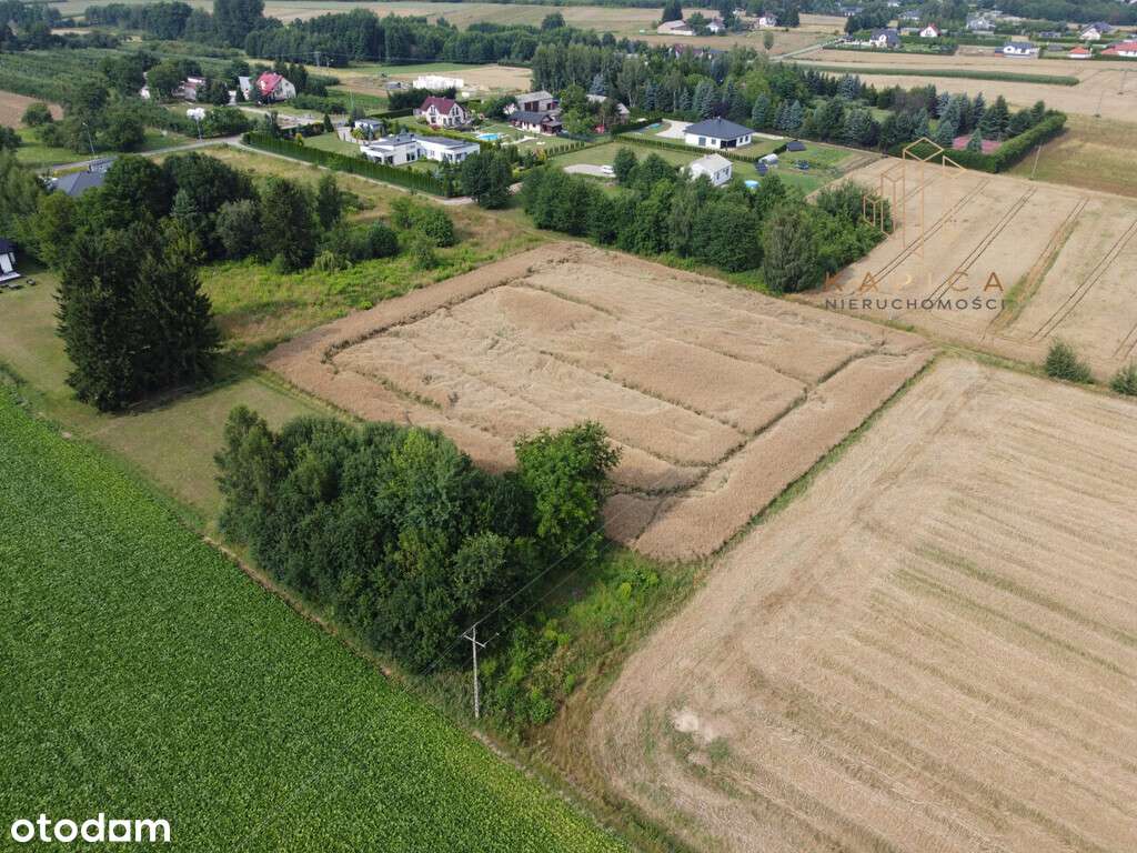 Atrakcyjna działka siedliskowa, Motycz-2
