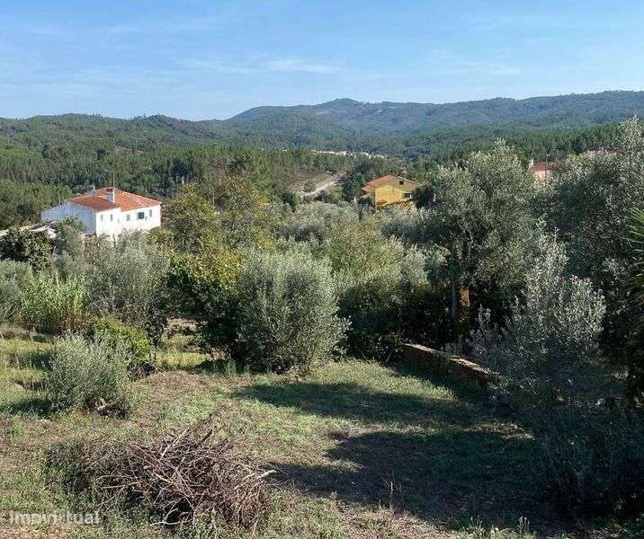 Terreno e ruína com projeto aprovado - Grande imagem: 5/12