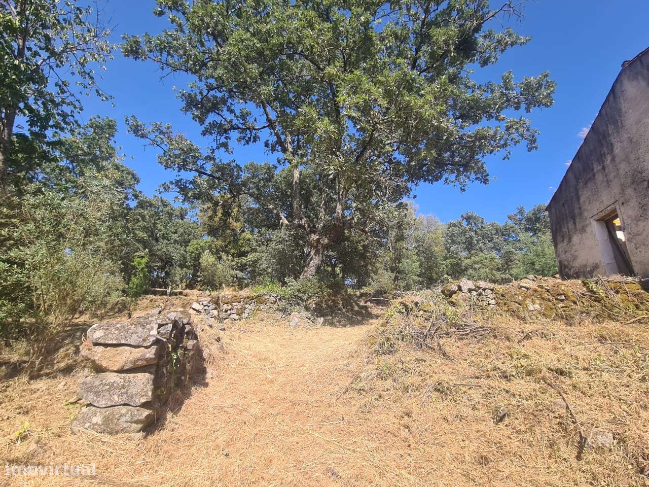 Marvão - Moradia ant. 1951 - Lote 2878 m2, Serra S. Mamede-17
