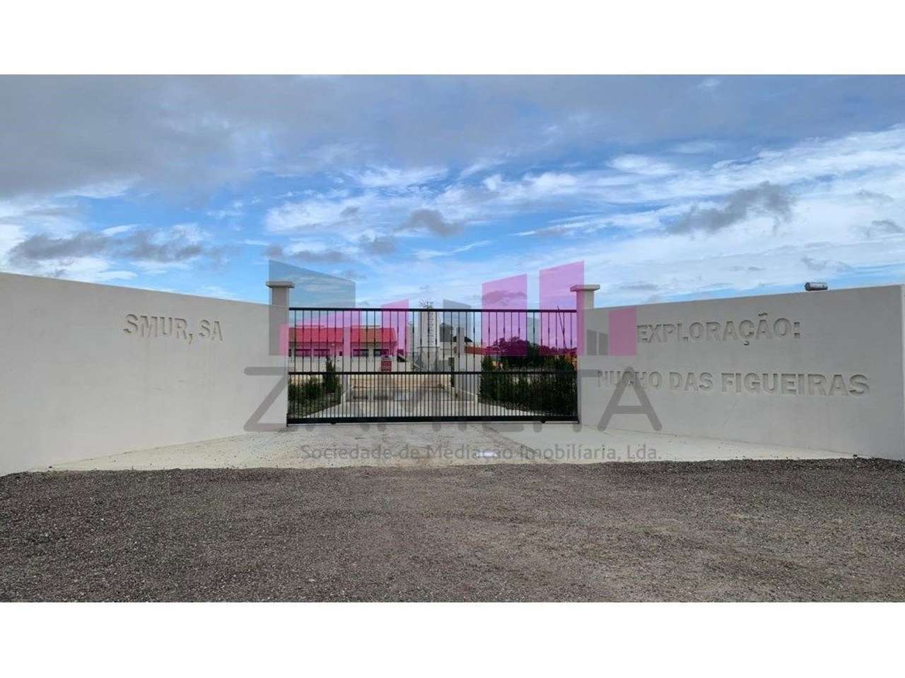 Lote - Figueiras, Pegões - Grande imagem: 5/7