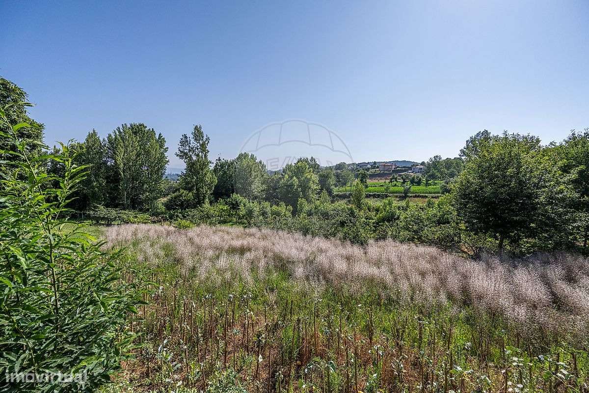 Moradia T4 com Terreno e Árvores de Fruto em Moure, Vila Verde-34
