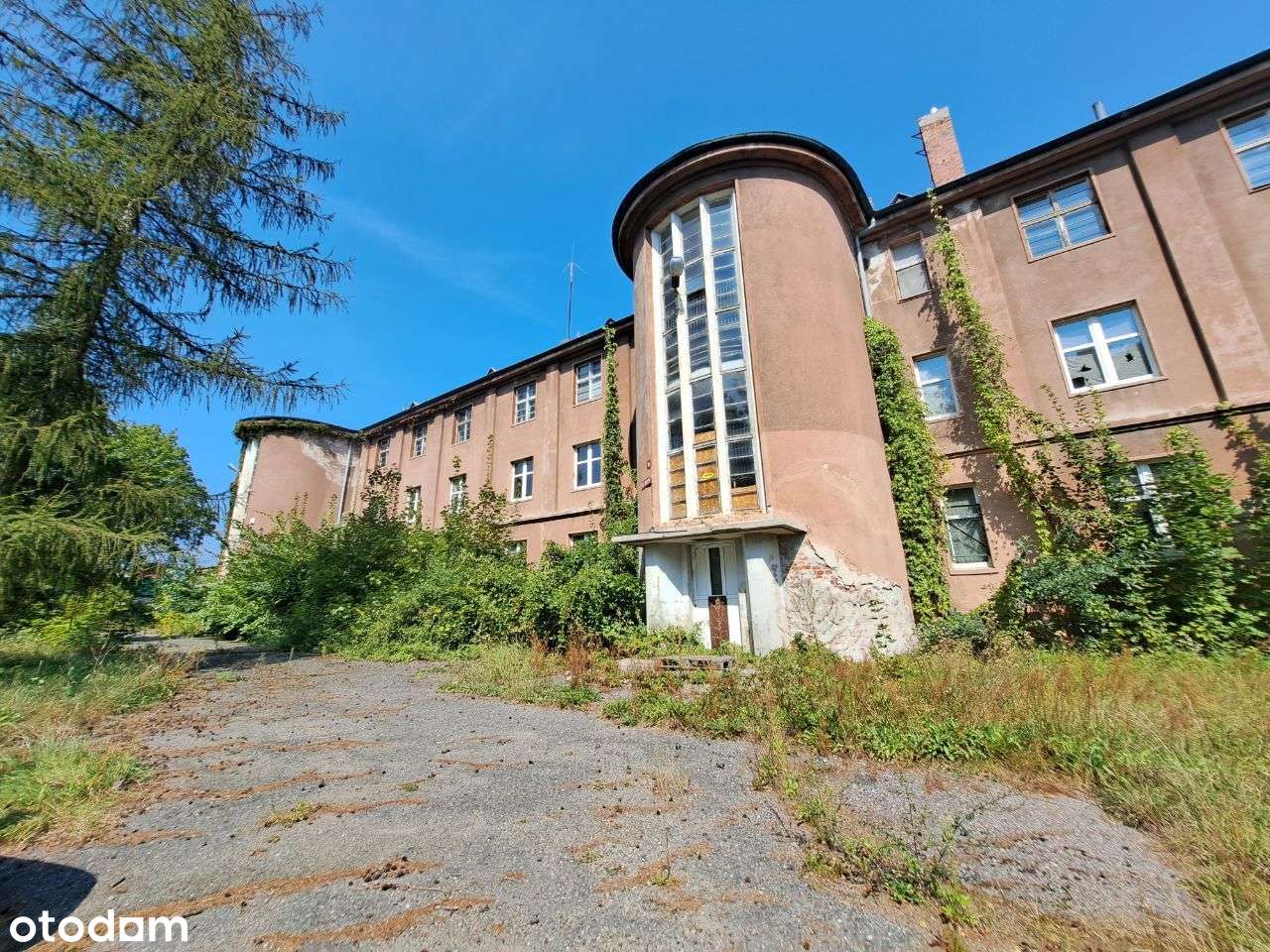 Lokal użytkowy, 2 546 m², Żagań - Pełny obrazek: 2/2