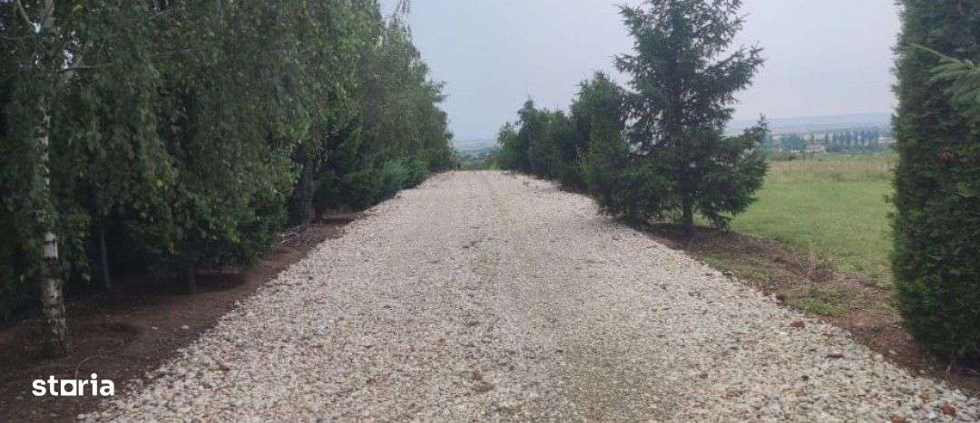 Teren Cârcea - Imagine principală: 1/8