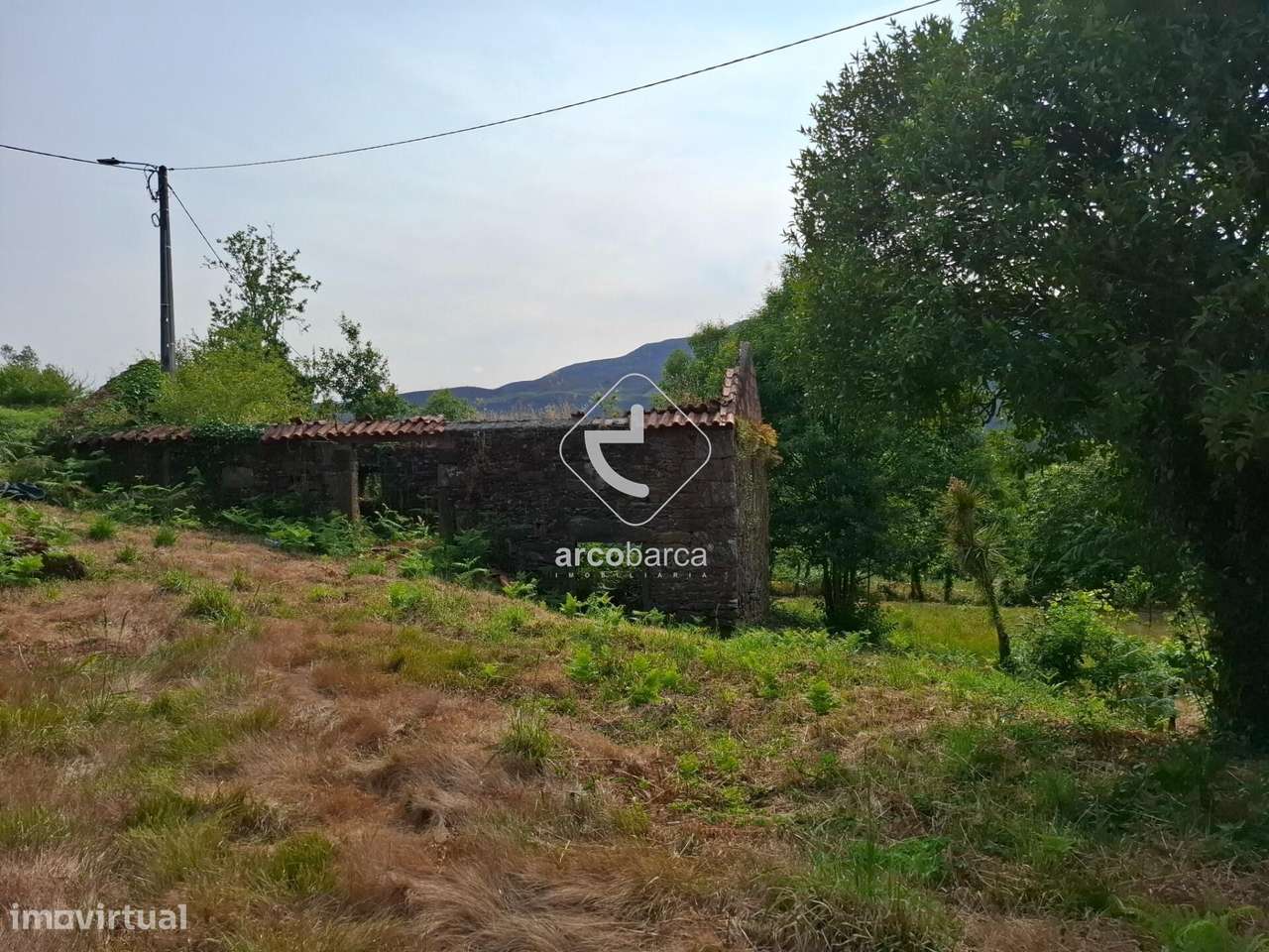 Quintinha ruinas p/restauro com 2520m2 - Moreira Lima - Ponte de Lima-10