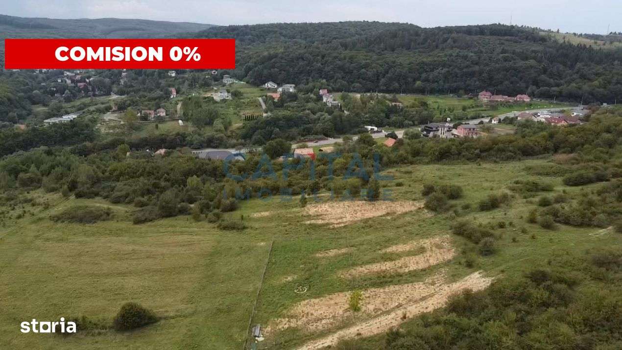 Fara comision! Teren 1000 mp, front 25 ml, PUZ in lucru, zona buna, Fe - Imagine principală: 4/6