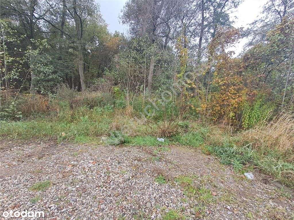 spokojna lokalizacja, duży potencjał inwestycyjny - Pełny obrazek: 5/5