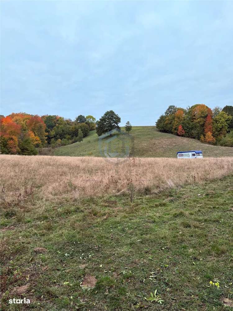 Teren intravilan 17,265 mp in Tomnatic, comuna Vadu Crisului - Imagine principală: 4/7