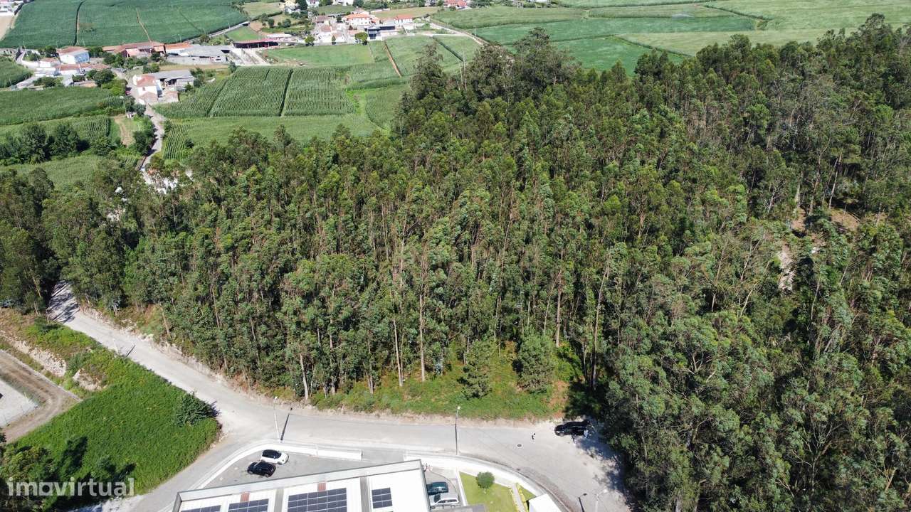 Terreno Rustico em Mosteiró - Grande imagem: 4/9