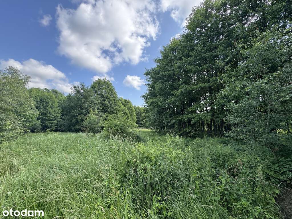 Przy bocznej ulicy, media na działce, zadrzewienia-0