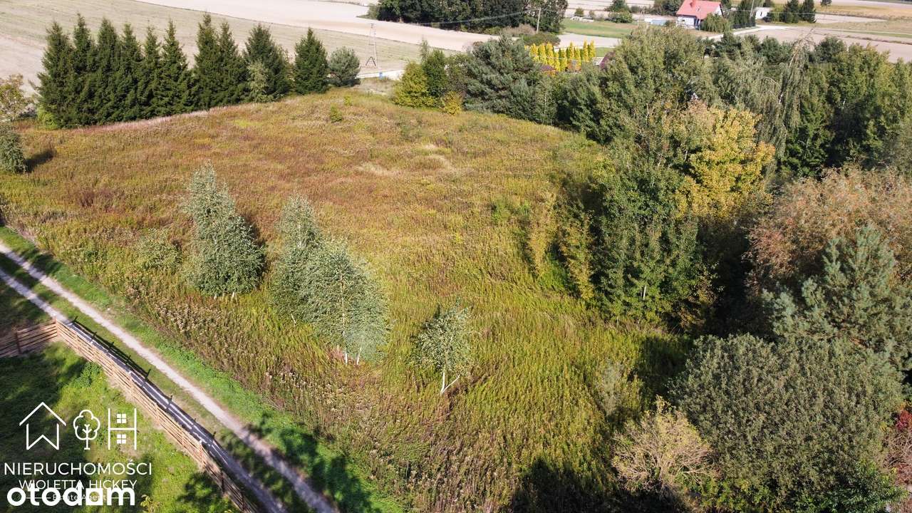 2 Działki w otoczeniu drzew – Wyszyna, gmina Stara Biała k Płocka-5