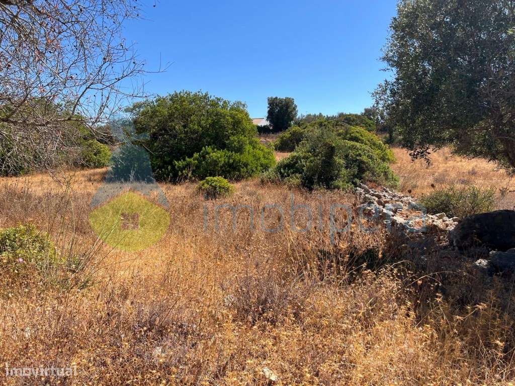 TERRENO RÚSTICO EM CANAIS DE FERREIRAS -EXCLELENTE LOCALIZAÇÃO - Grande imagem: 5/15