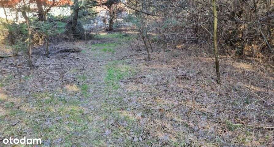 Działka, 2 600 m², Strzeniówka-3