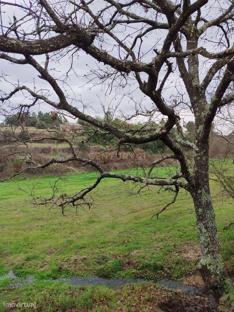 Terreno Rustico com Ruína e Ribeiro – Martianas, Fundão – Proximidade-7