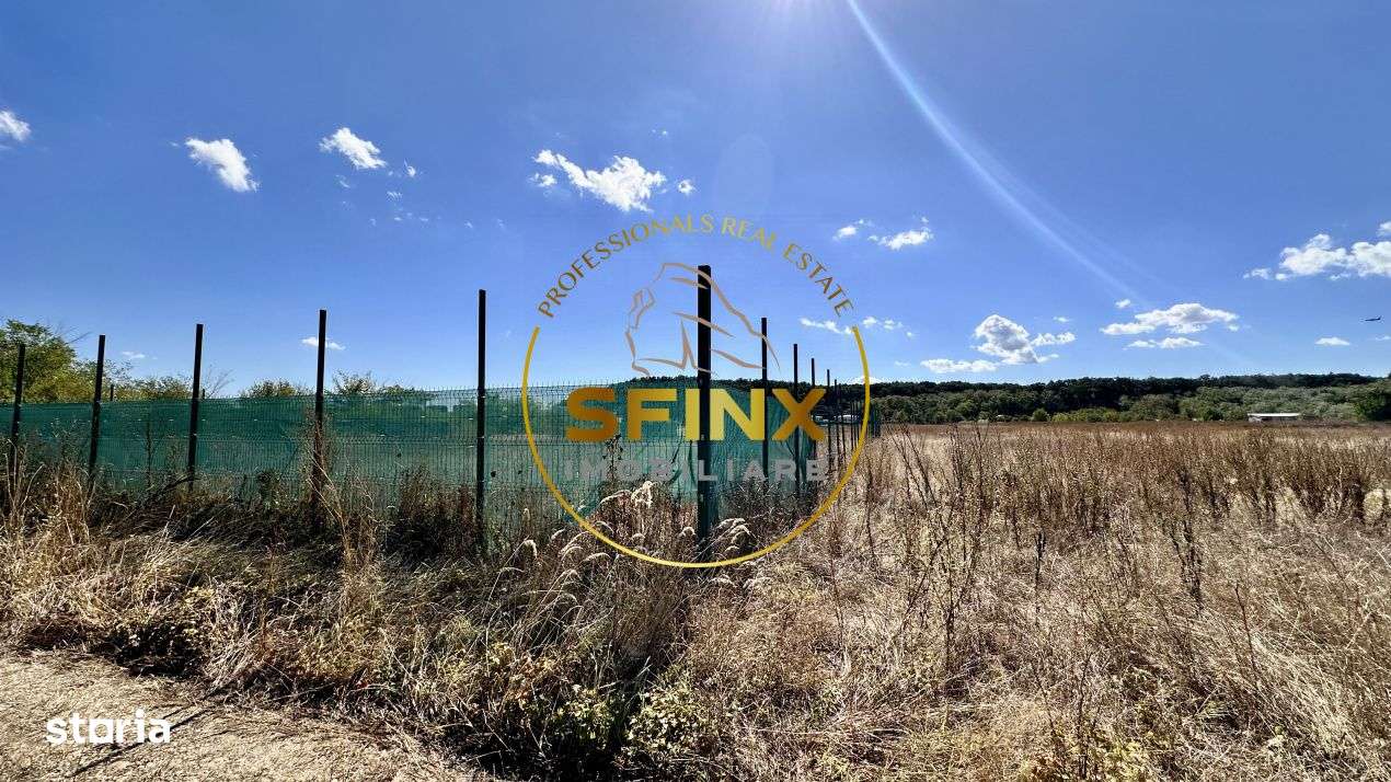 Corbeanca 5000 mp, deschidere 22 m la Drum asfaltat, padure, utilitati-8