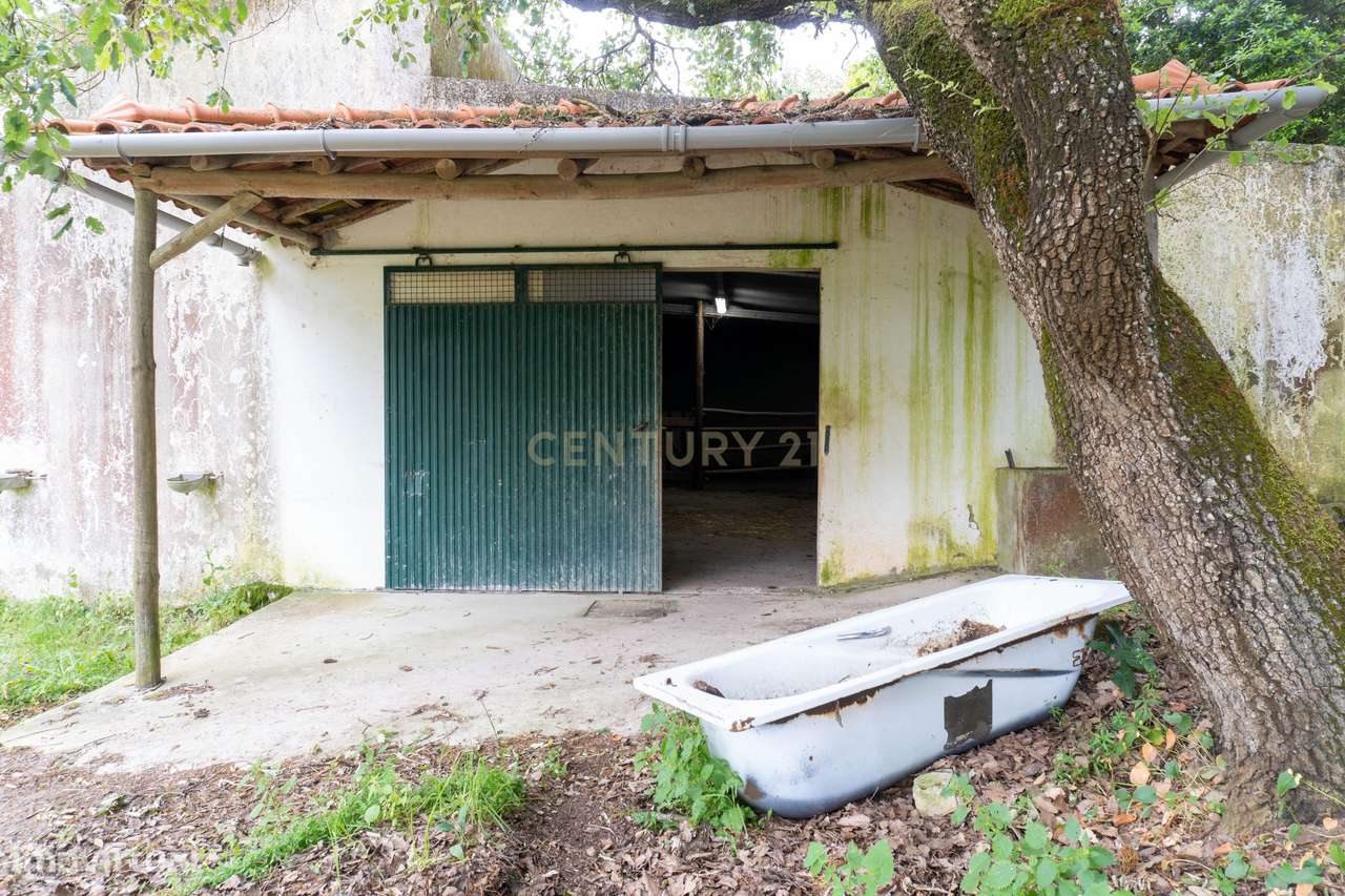 Quintinha em Alenquer com Excelente Potencial – 5,8 Hectares-19