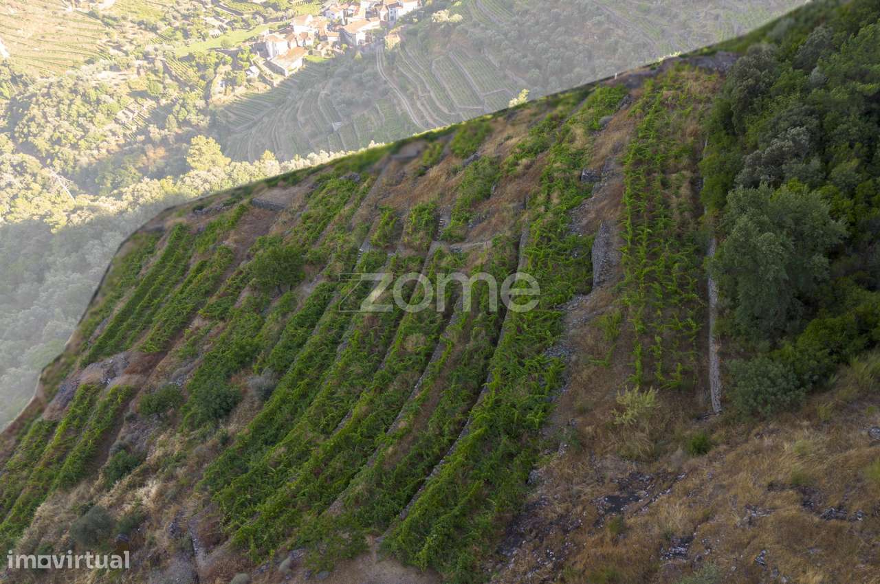 Terreno Rústico, S. Cristovão do Douro - Grande imagem: 5/15