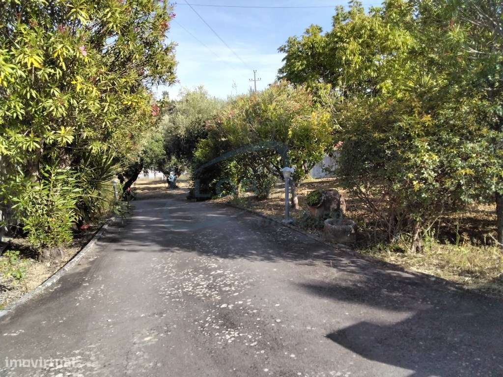 Duas Moradias com Terreno na Ribeira Branca - Natureza, Privacidade...-35