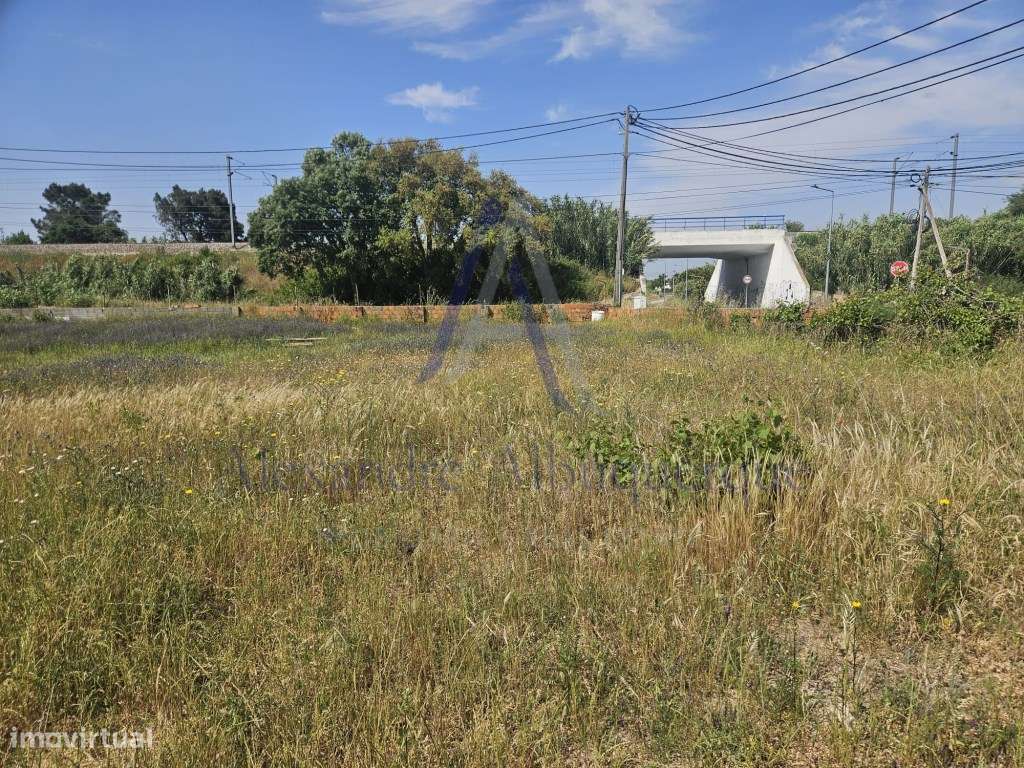 Quinta com 3 Habitações | Pinhal Novo | Terreno 5.400 m²-34