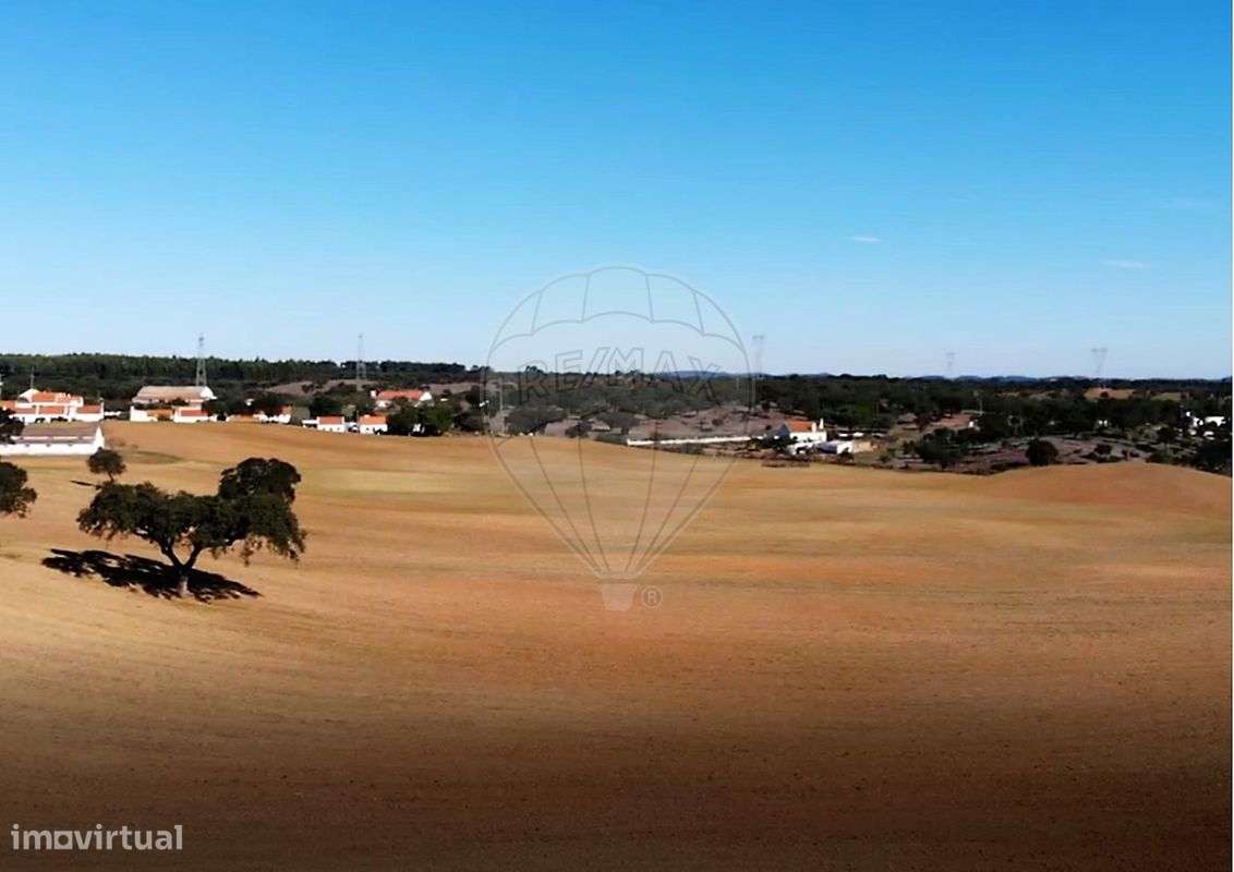 Quinta T3 para venda-7