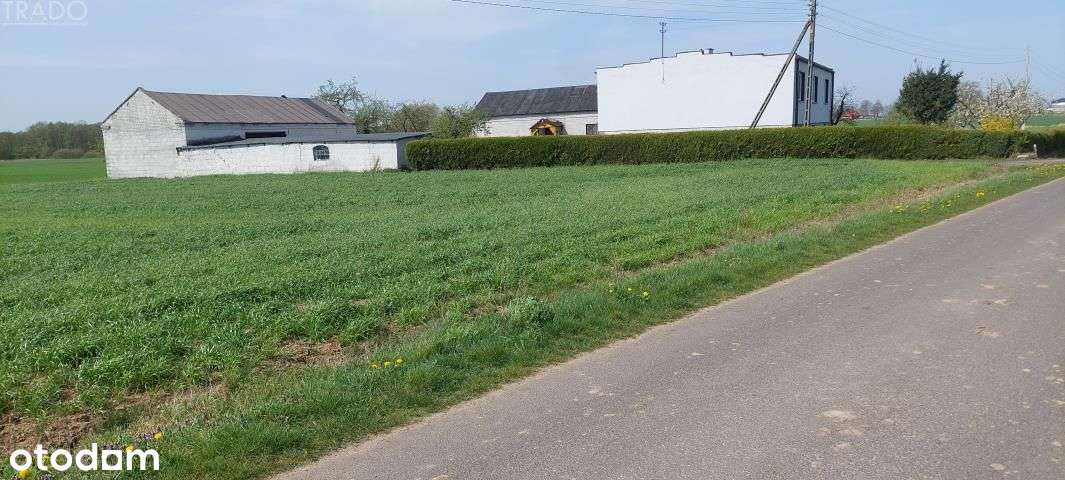 Gospodarstwo 5,72 ha Góraj gm. Babiak-0